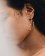 Twisted Contour Earrings | Gold Plated