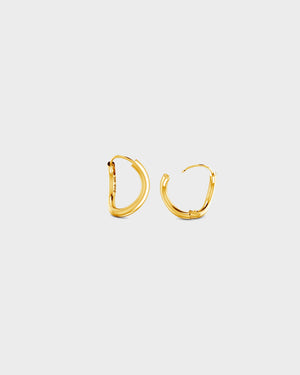 
            
                Load image into Gallery viewer, Gold plated small Chunky Hoop earring
            
        